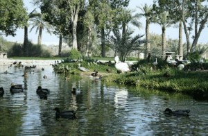 Al Areen Park and Reserve