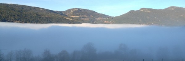 Norwegian Mountain Fog